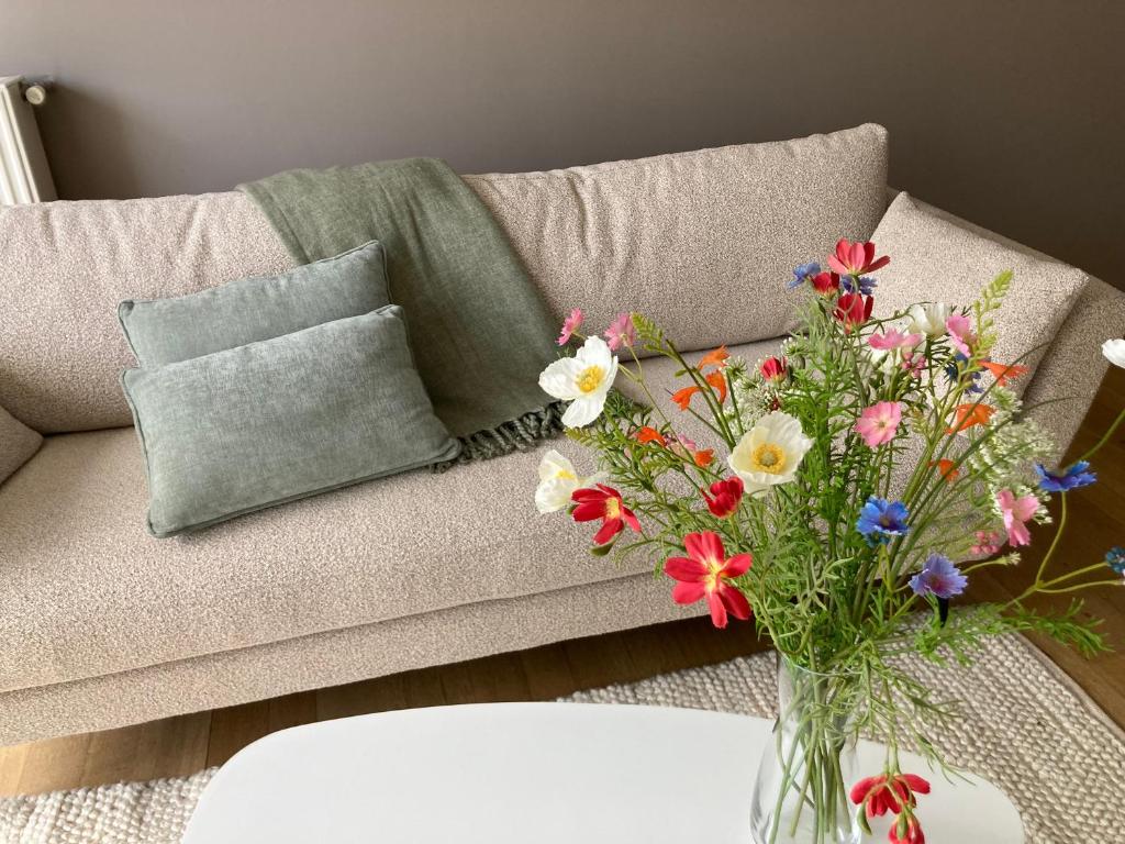 Goodvibes, Knokke-Heist