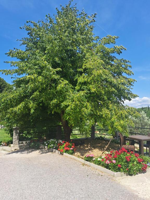 Apartma Solina, Portorož