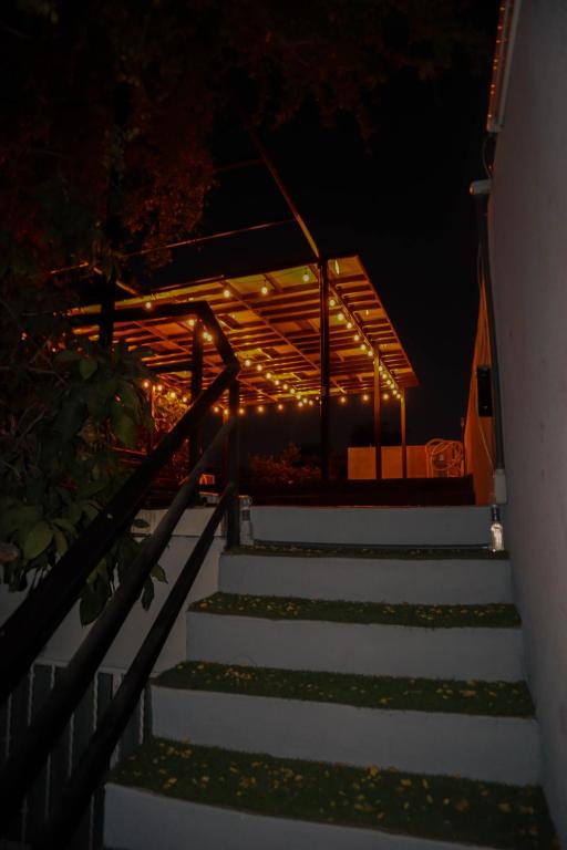 Casa Bosque - 3