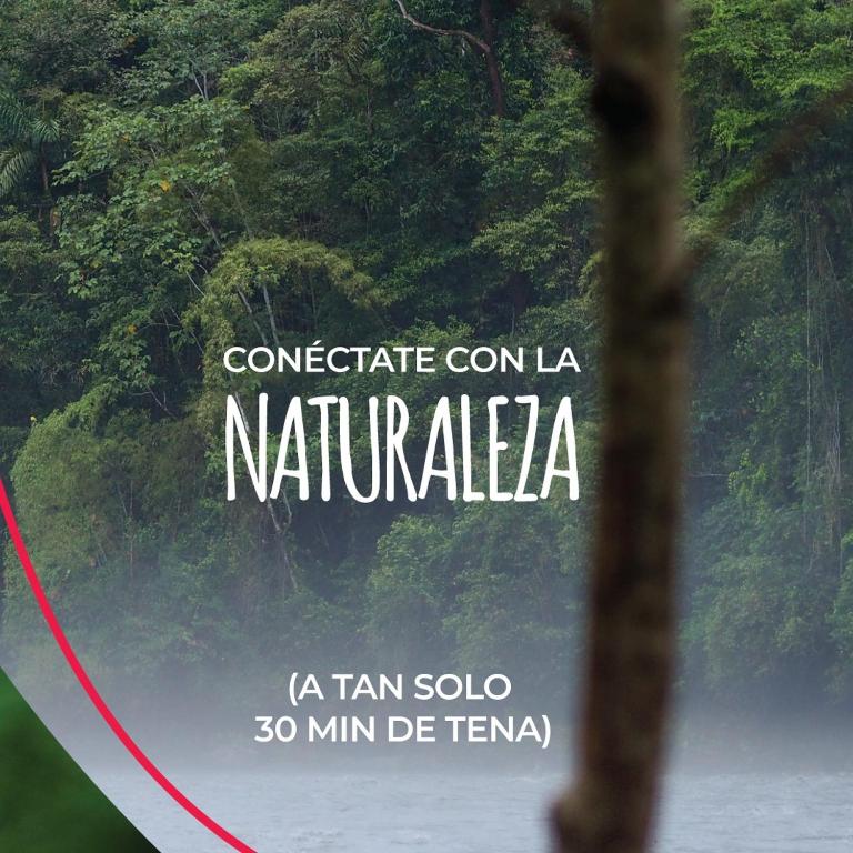 Pungara Eco-Lodge - 3