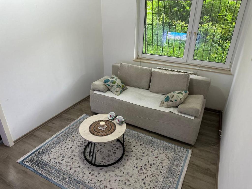 Apartment Alibeg - 3