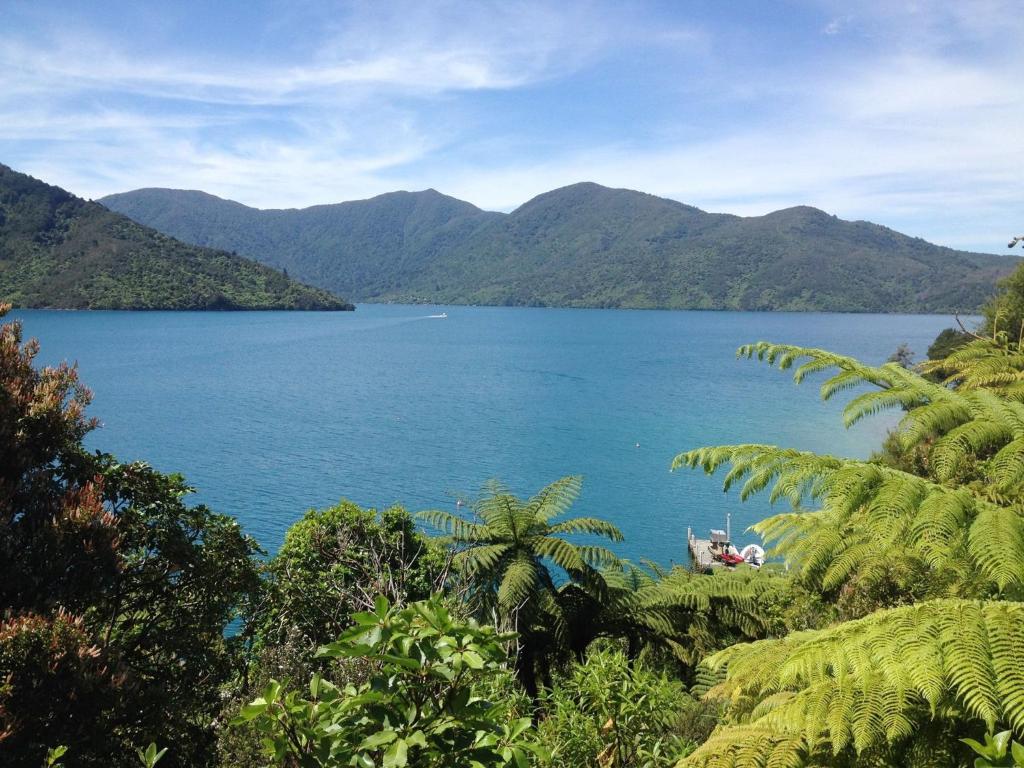 Surrounding environment