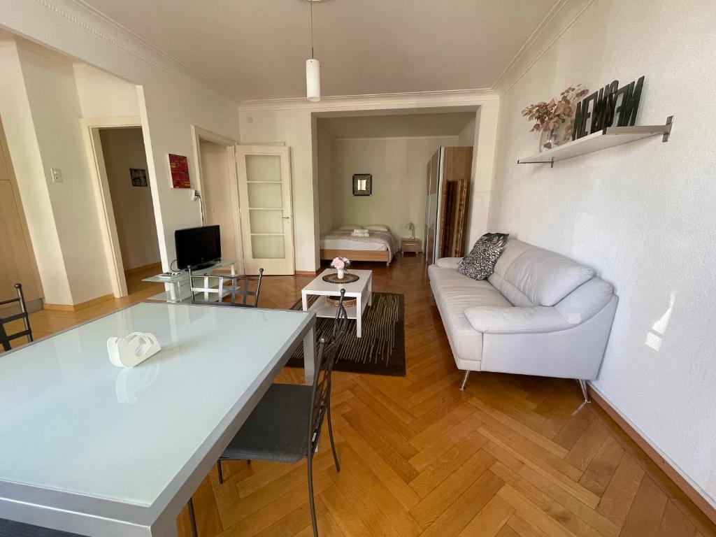 Apartment 9 minutes from Lausanne Train statio - 4