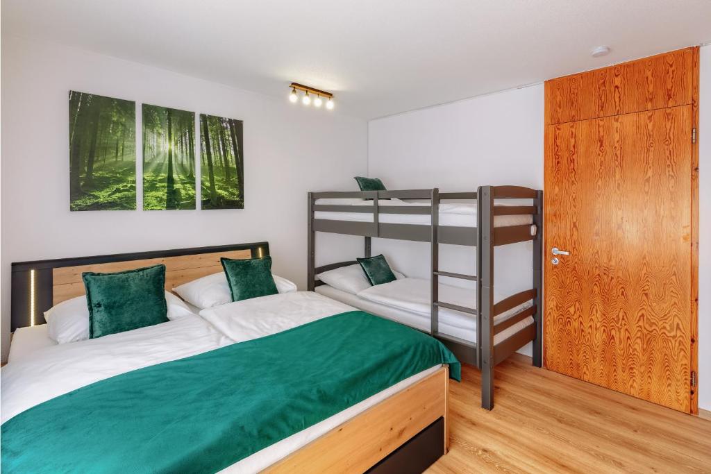 Englmar Apartments with free WELLNESS and FITNESS - 2