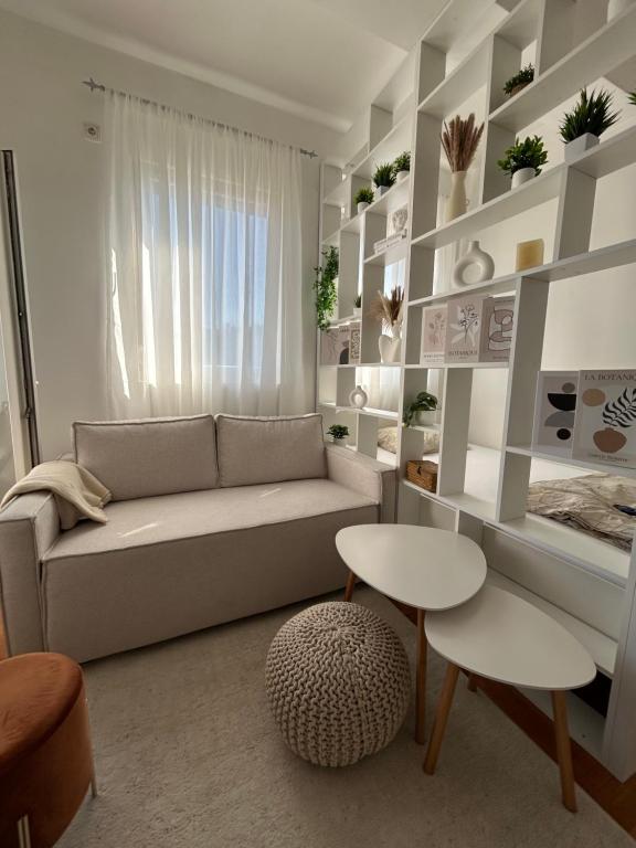 Studio Soleil, Cetinje