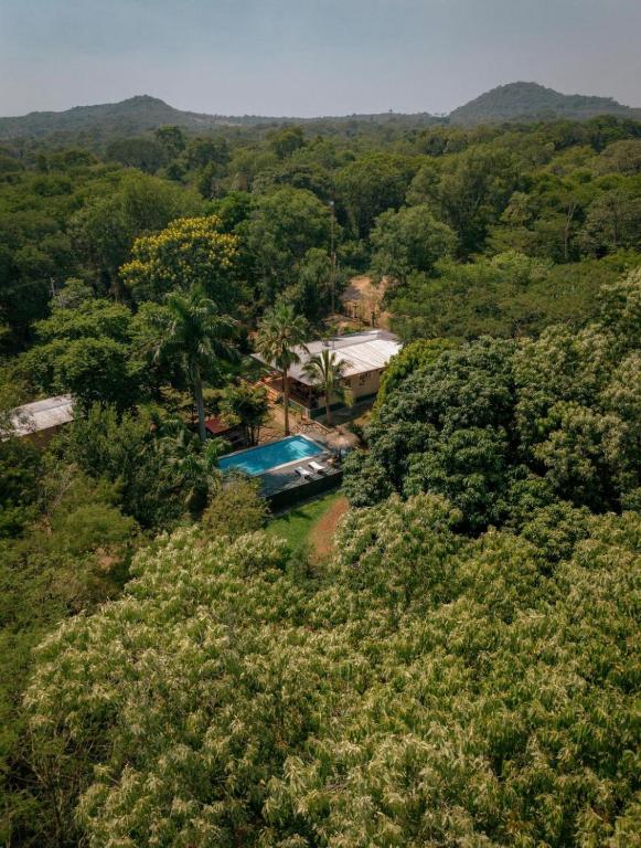Susurros del Monte - 5