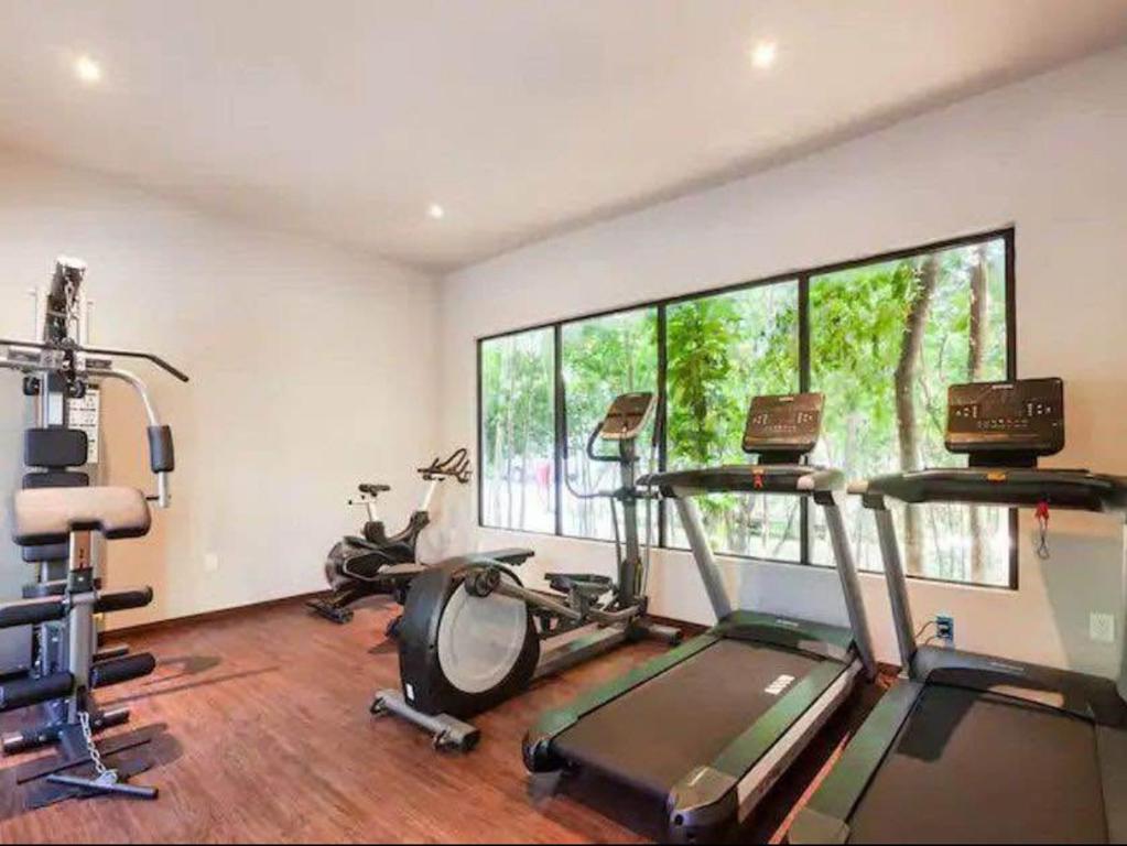 Luxury and Peaceful Apartament - 3