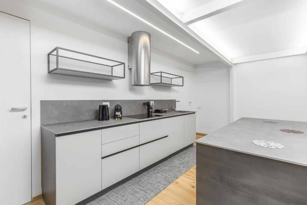 Luxury Loft Garibaldi Moscova - 2