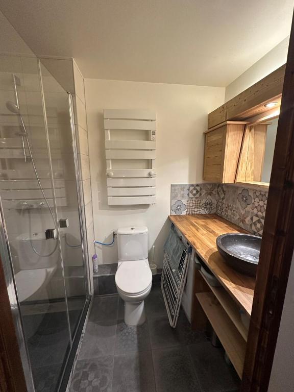 Studio charmant et confortable Brides Les Bains - 4