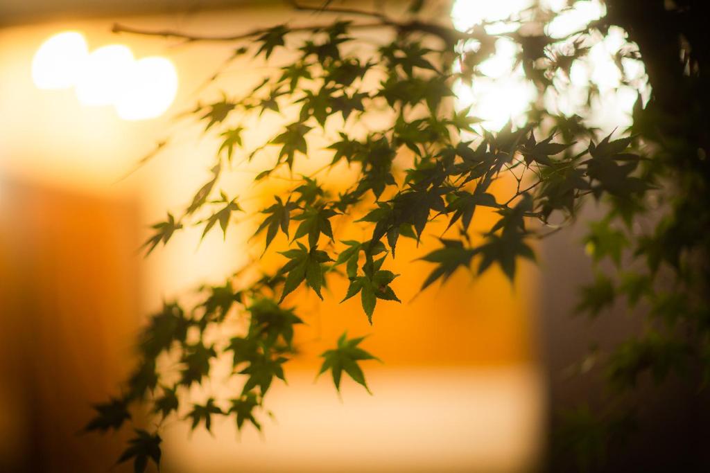 Surrounding environment