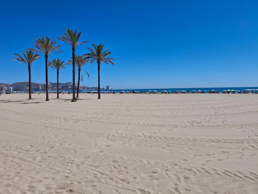 Cullera Mar Azul, Cullera