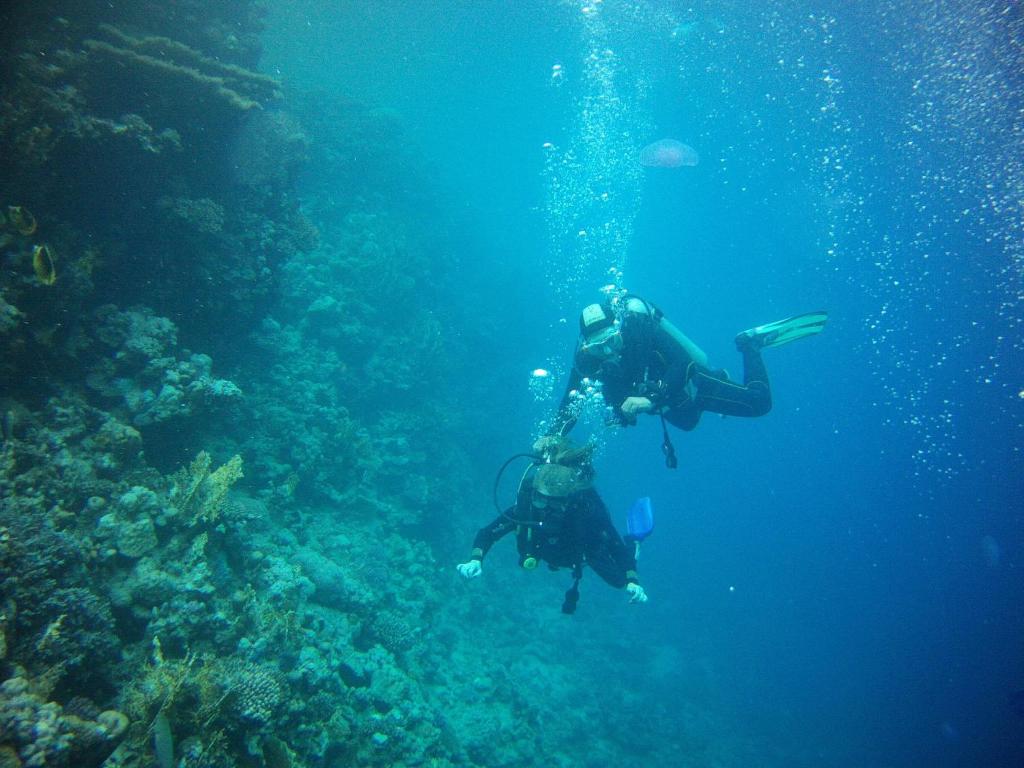 Sports and activities