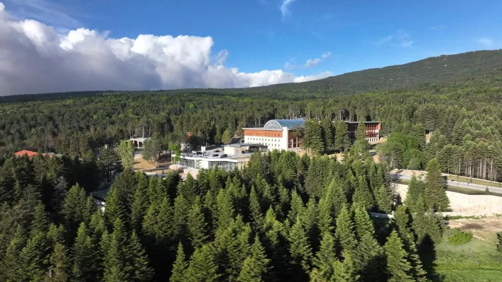 Swissotel Uludag Bursa, Hotel in Bursa