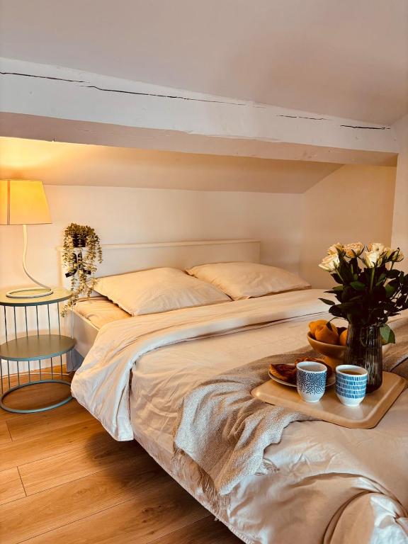 Charming studio, bright, central, quiet, Saint-Étienne