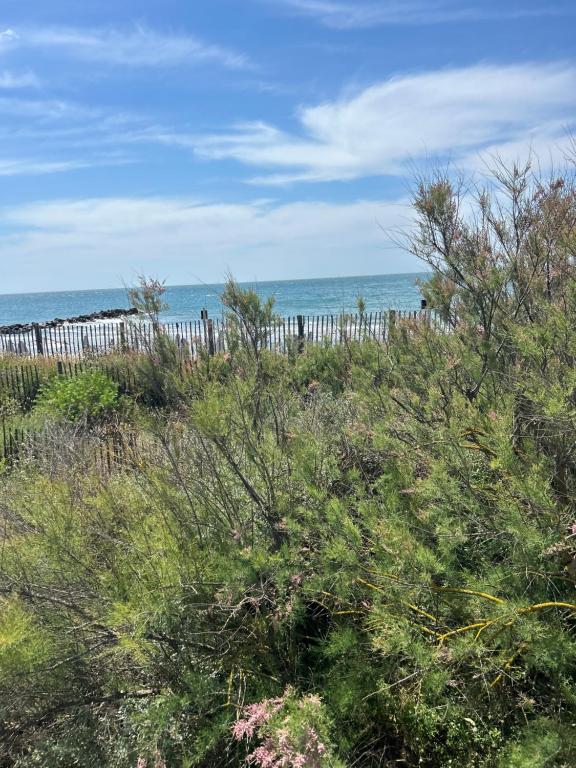 111 Acces direct 3min de la MER,2 places de parking gratuite, terrasse - 2