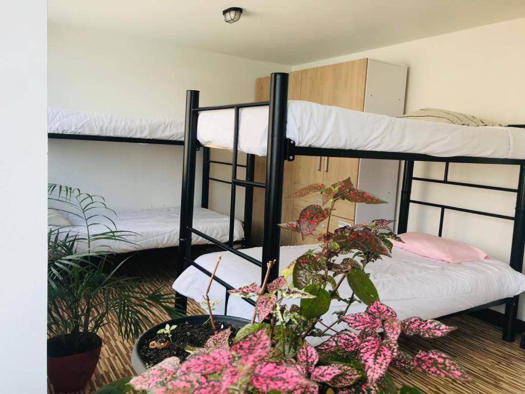 Habitaciones para estudiantes Universidad Javeriana - 3