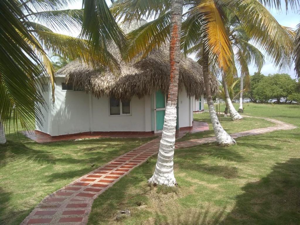 Punta Manzanillo - 5