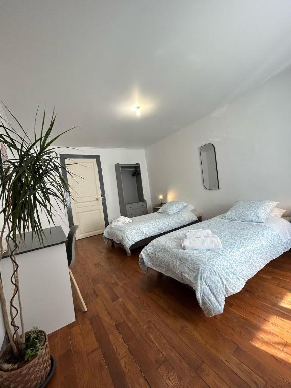 Appartement calme avec jardin - 3