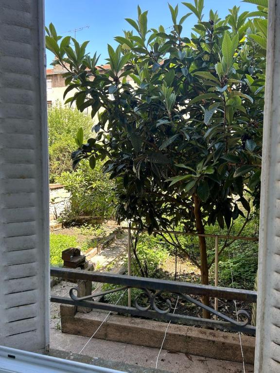 Appartement calme avec jardin - 5