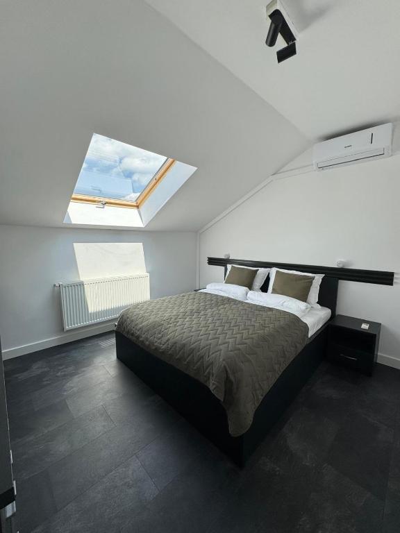 Panda Apartment Zorilor, Cluj-Napoca