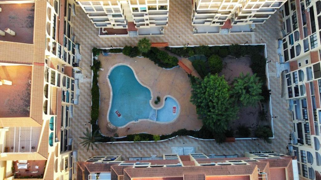 Apartament Studio, La Mata , Torrevieja, Viñamar 3 - 4