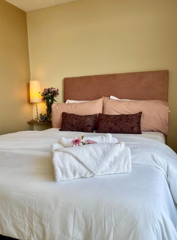 Entre Cantera y Cactus, San Luis Potosí