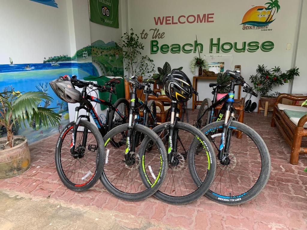 Sports and activities