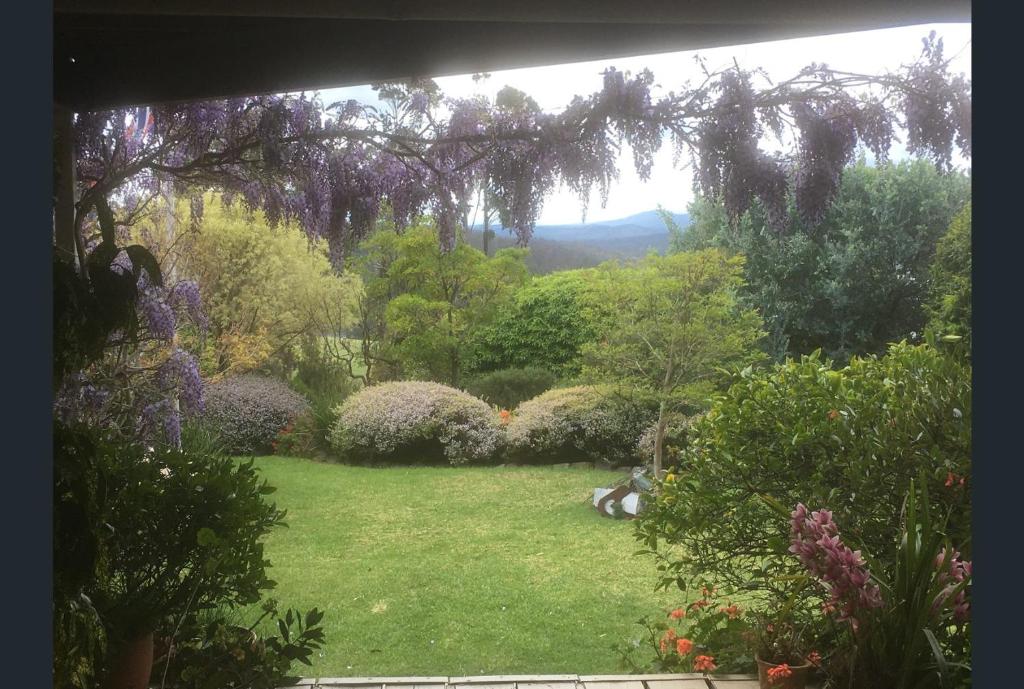 Studio 66, Mallacoota