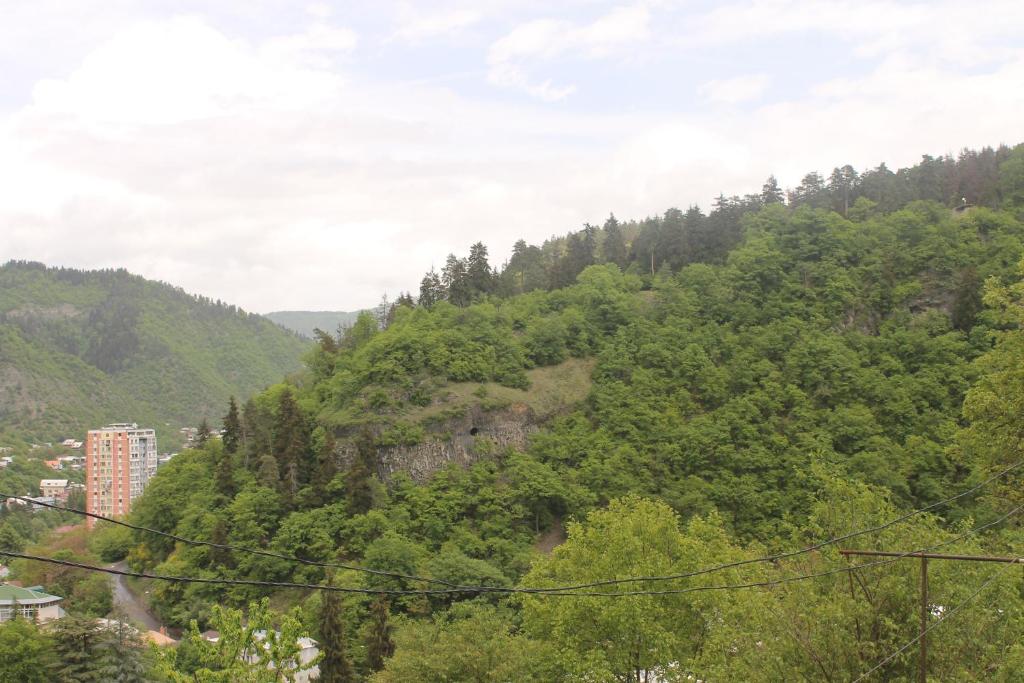 Anastasia Guesthouse photo