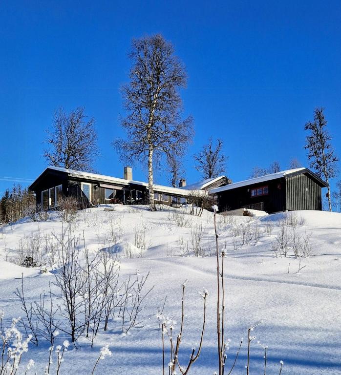 Large Secluded Cabin With Spa And View In Valdres, Fagernes