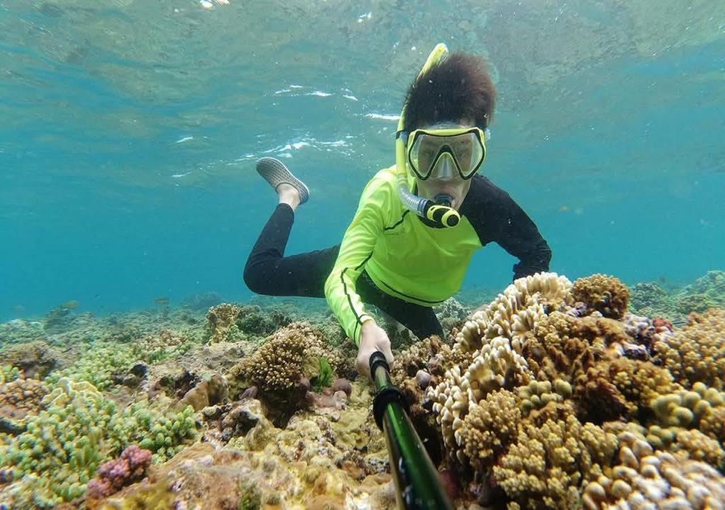 Kuntoilu ja Aktiviteetit