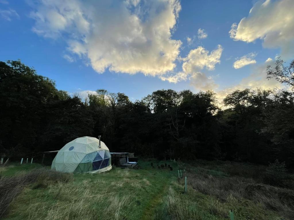 Frowen Fields Eco Glamping and Camping, Whitland