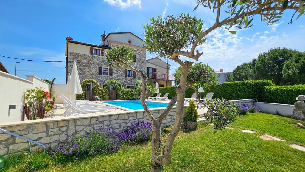 Olimpia 1, Novigrad – Istrie