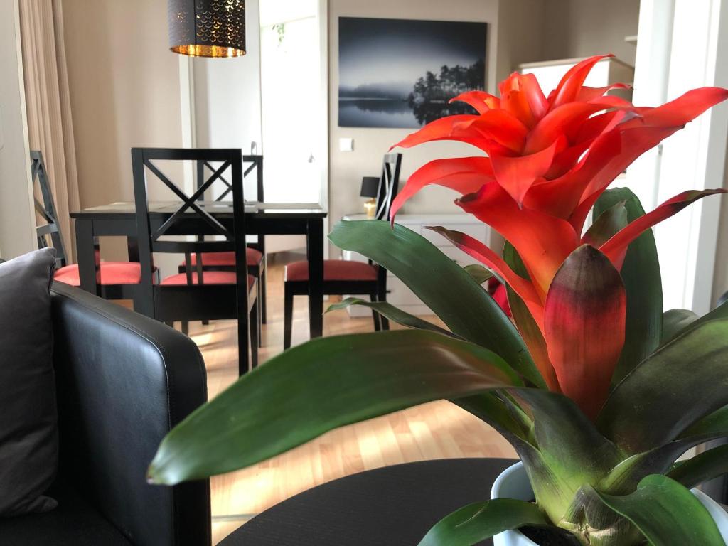 Dat Mitteltste 445, Ostseebad Sellin