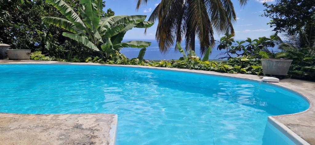 Le temps d'un repos, Vieux-Habitants