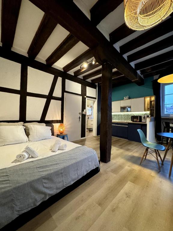 Les Suites Schwendi en Hypercentre - 1