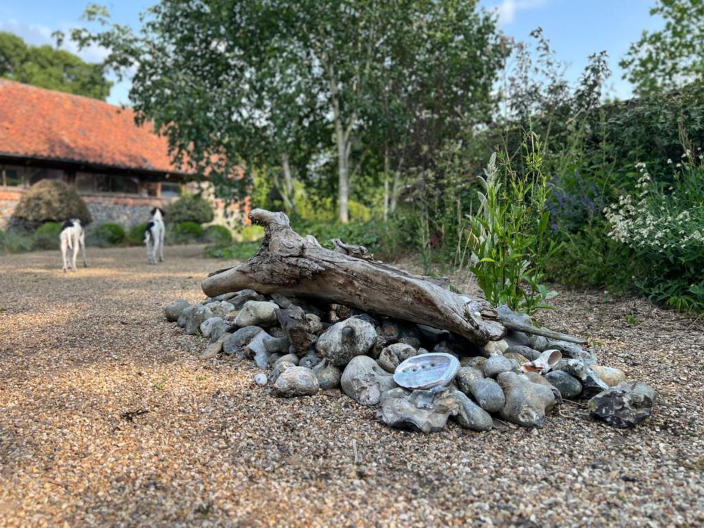 Seafret Barn, Cromer photo 8