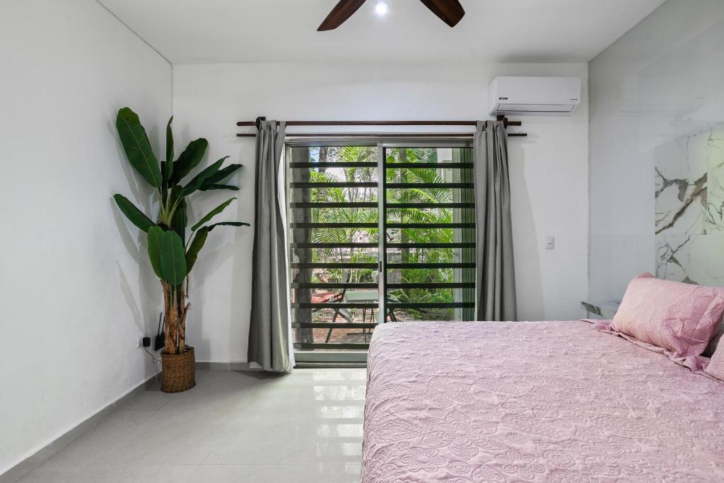 Casa Flamingos - 4