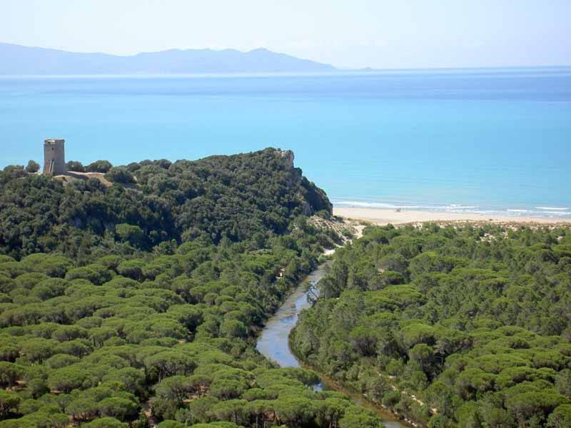 Ombrone Camere, Grosseto