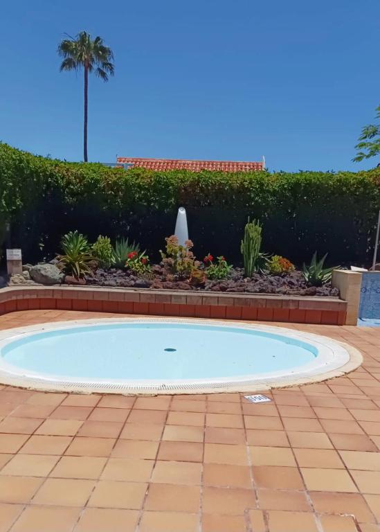 Las Palomas Bungalow # 38 - 2