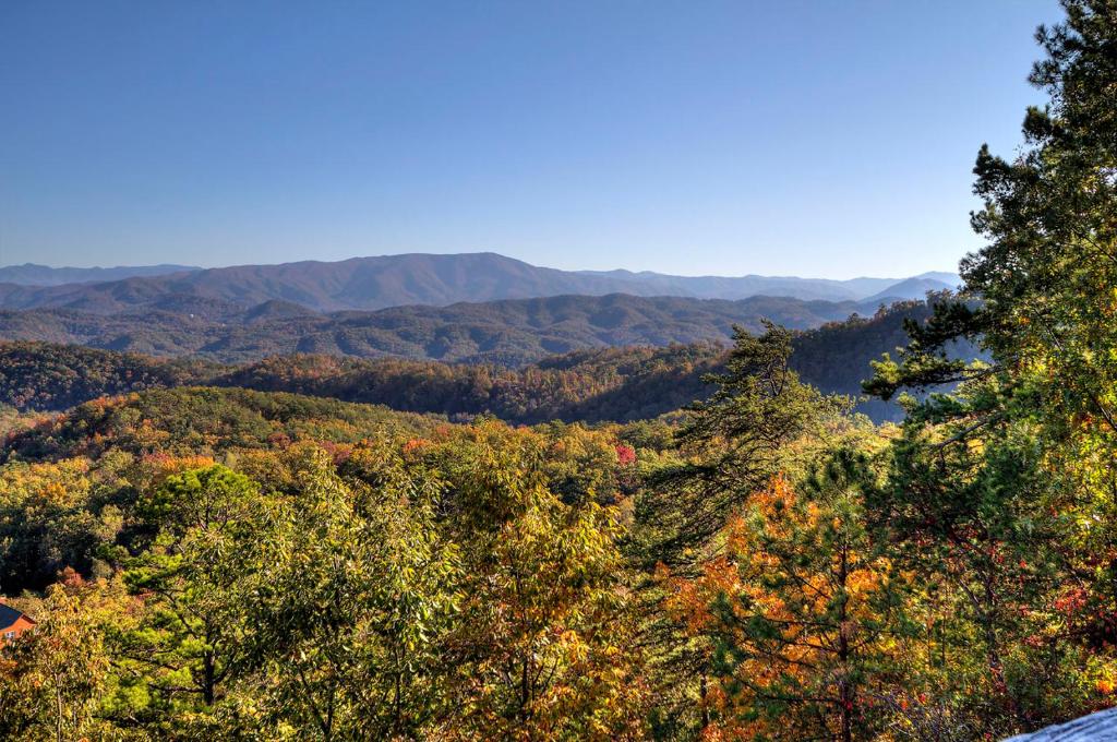 That's The Spot!, Sevierville