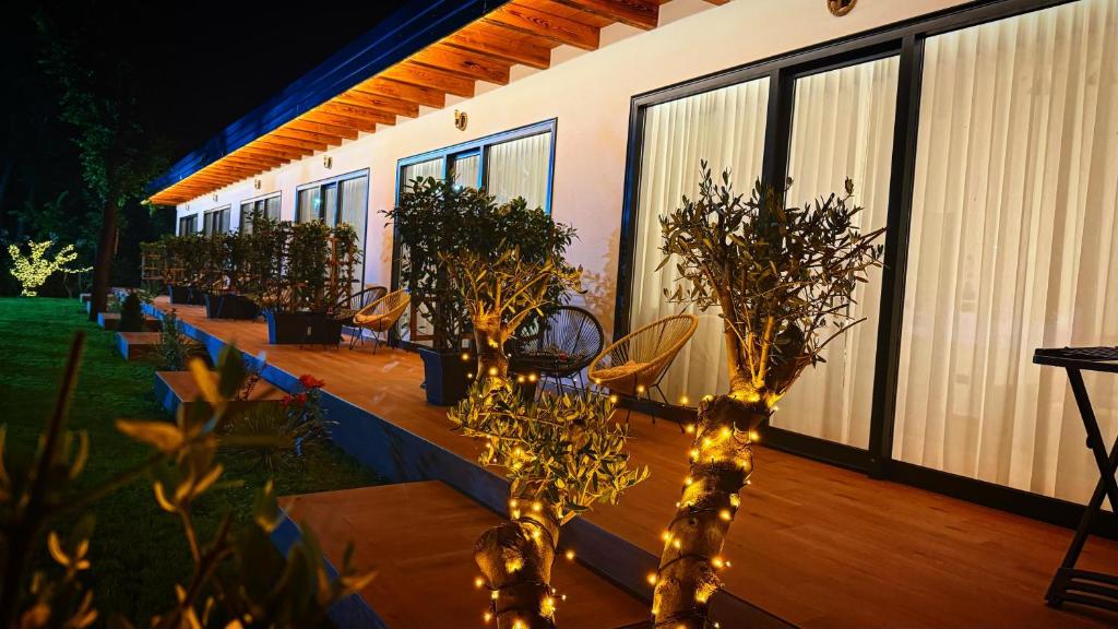 Frenki'S Residence, Velipojë