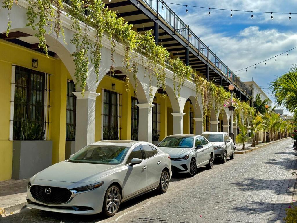 Modern space in the heart of the historic center - 5