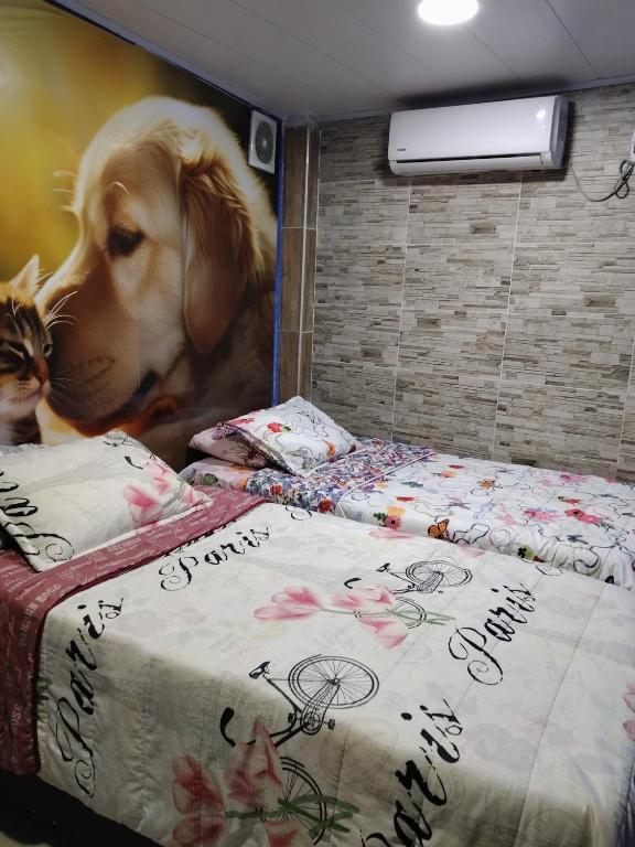 casa castillo san felipe - 3