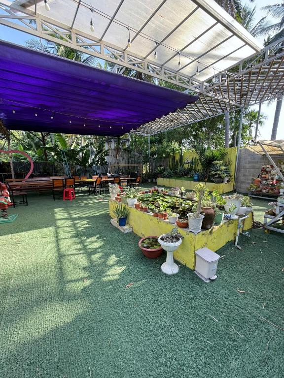 suri mui ne homestay