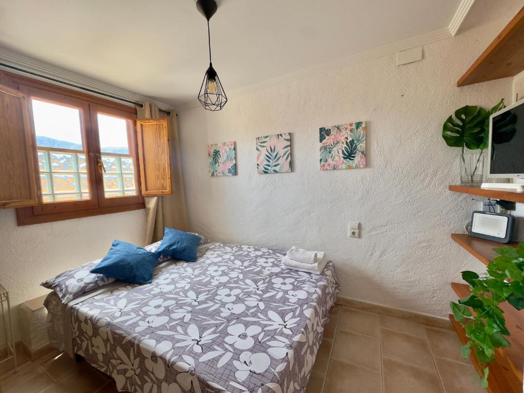 Estudio en el Castillo de Denia - 4