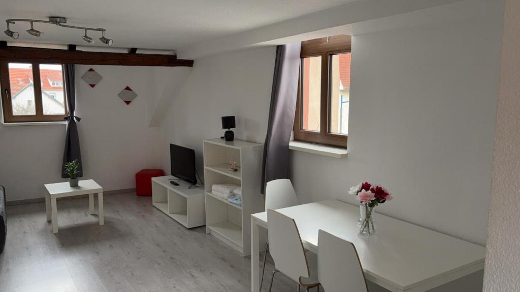 Appartement mansardé de charme, Bischheim