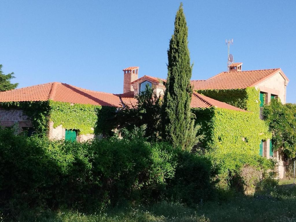 Casa de las Lavandas, Ávila, Ávila