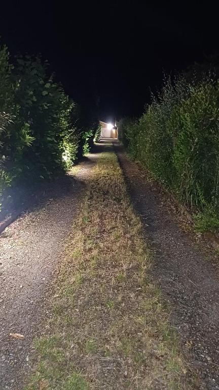 Un écrin de calme envoutant ! - 4