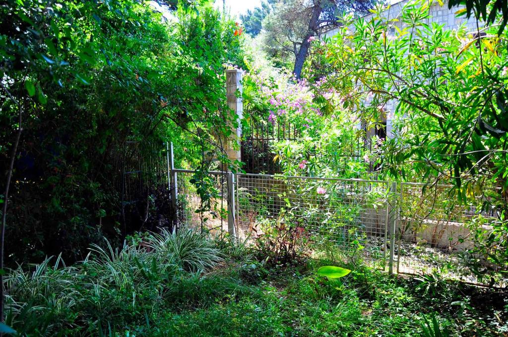 Ekaterina Ratac - 2
